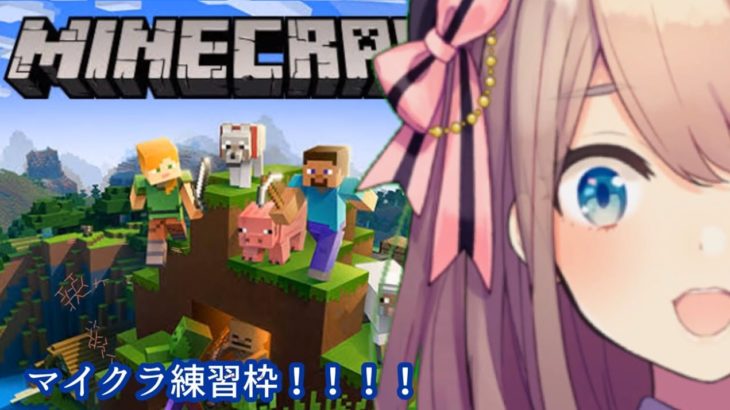 鈴原るるの【Minecraft(マインクラフト)】マイクラゲリラ練習わくわく…！！[2019/10/24]