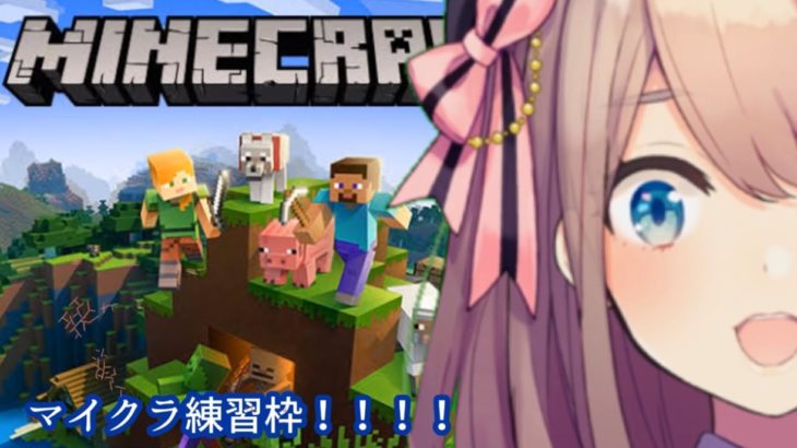 鈴原るるの【Minecraft(マインクラフト)】マイクラゲリラ練習わくわく…ひまちゃんにいいところ見せたいｯ！！[2019/10/27]